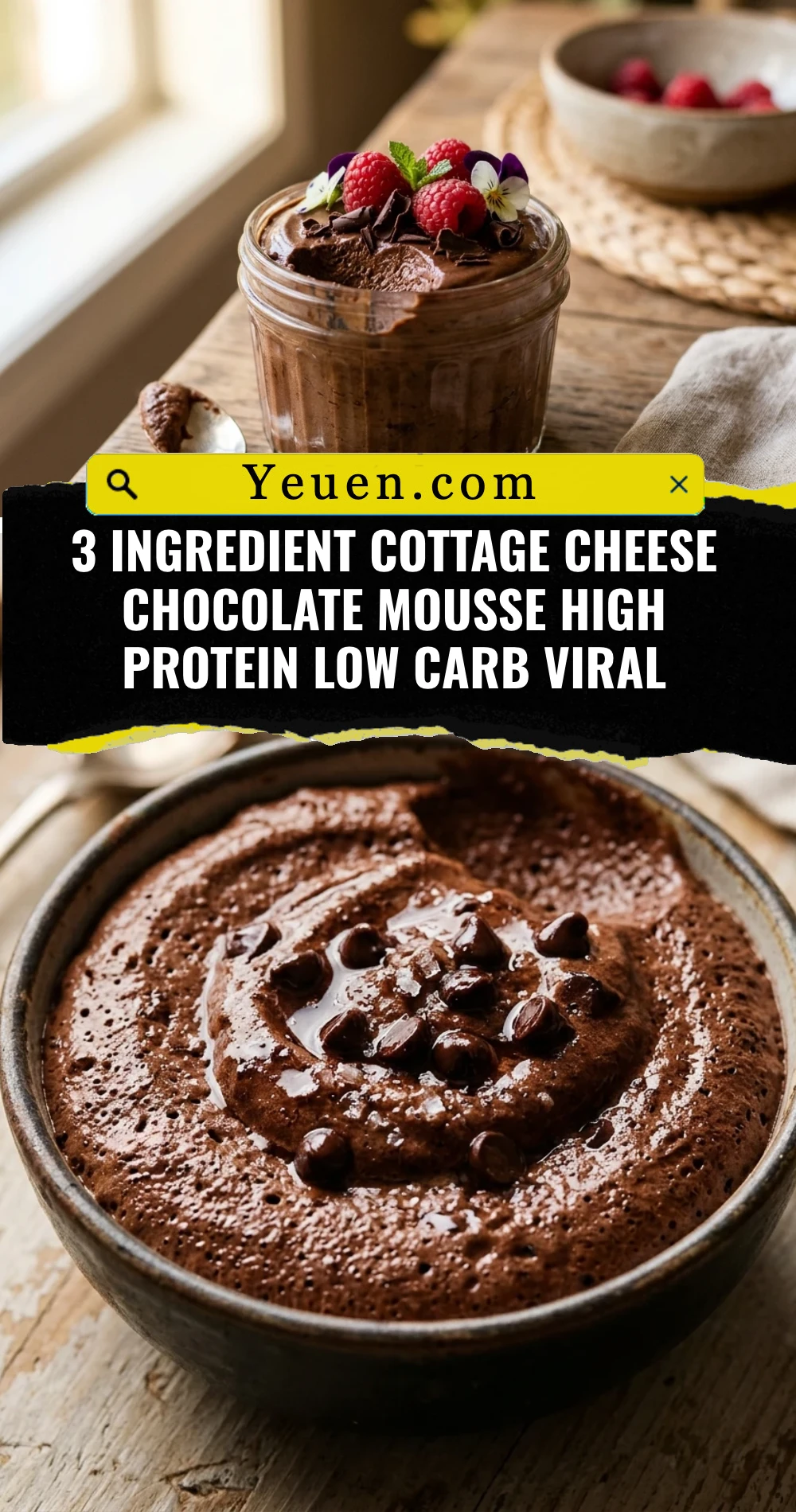 3 Ingredient Cottage Cheese Chocolate Mousse High Protein Low Carb Viral