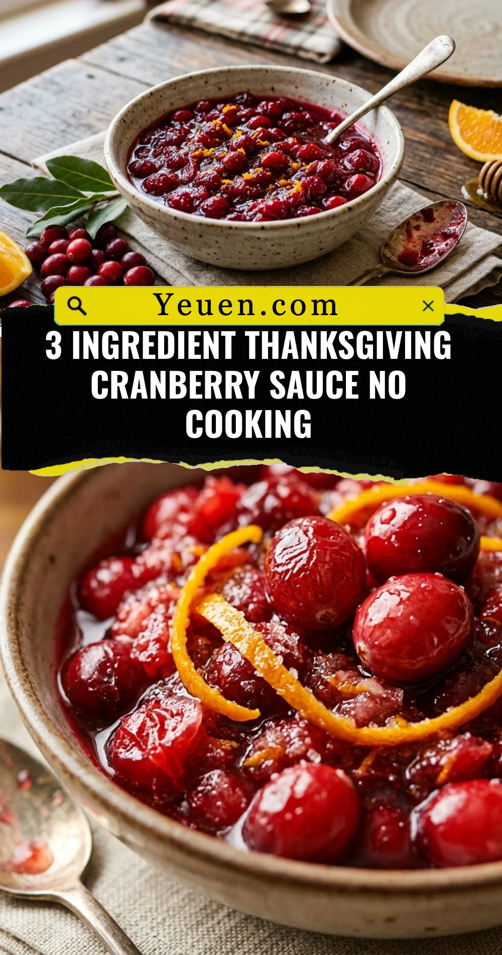 3 Ingredient Thanksgiving Cranberry Sauce No Cooking