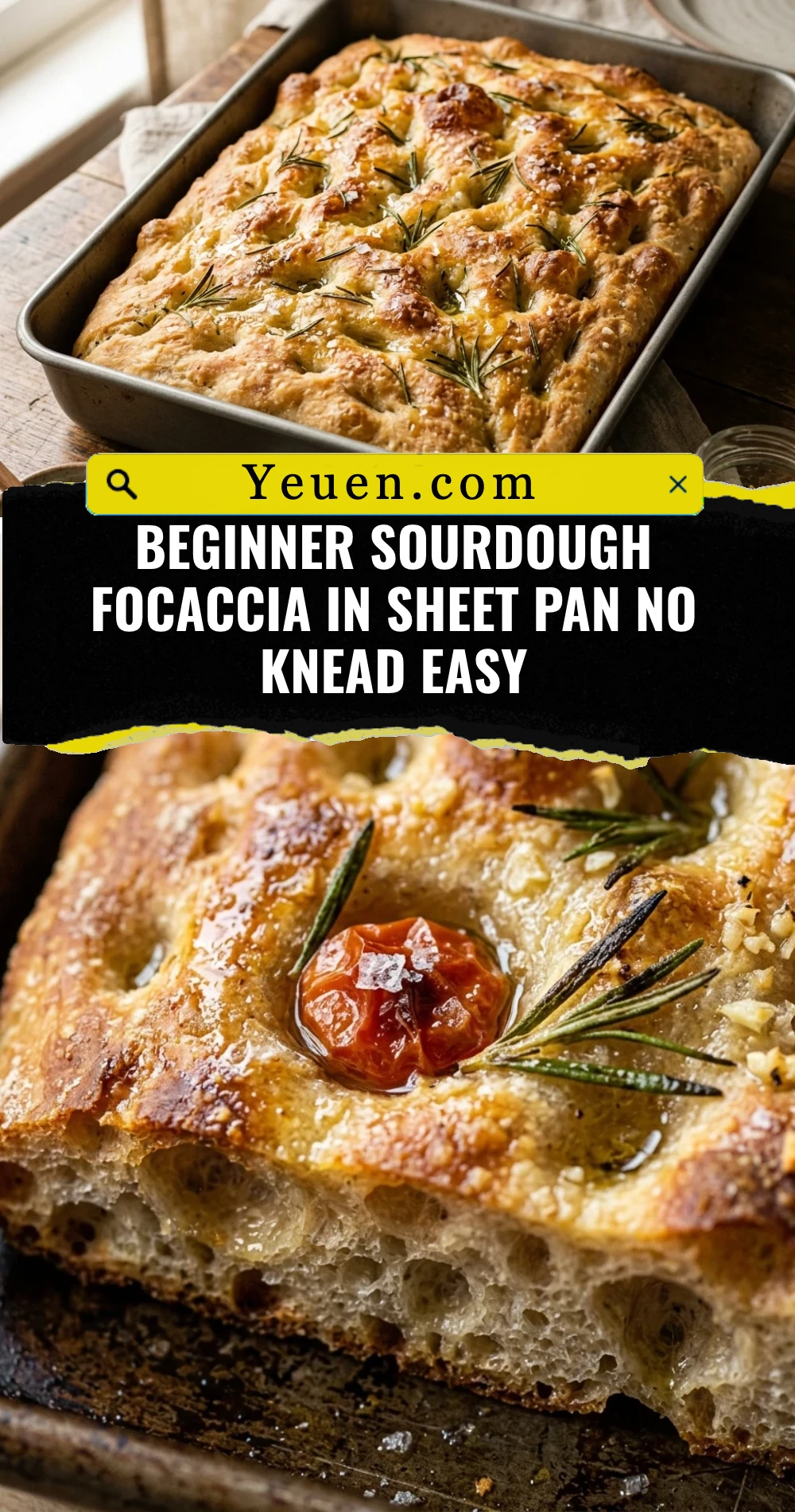 Beginner Sourdough Focaccia In Sheet Pan No Knead Easy