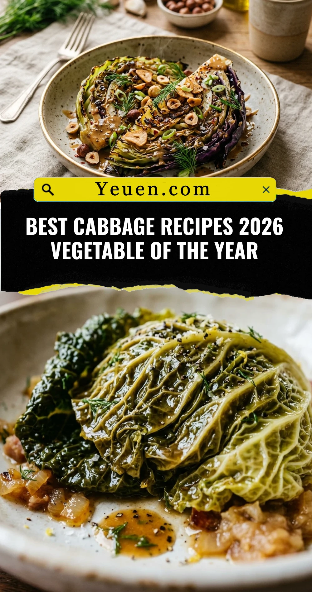 Best Cabbage Recipes 2026 Vegetable Of The Year