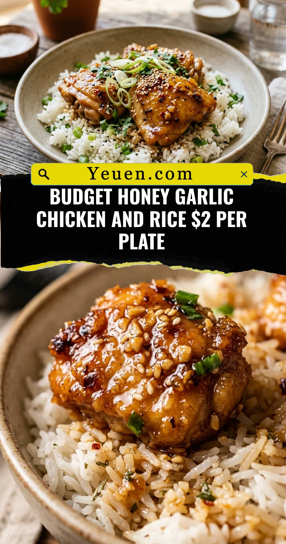 Budget Honey Garlic Chicken And Rice $2 Per Plate