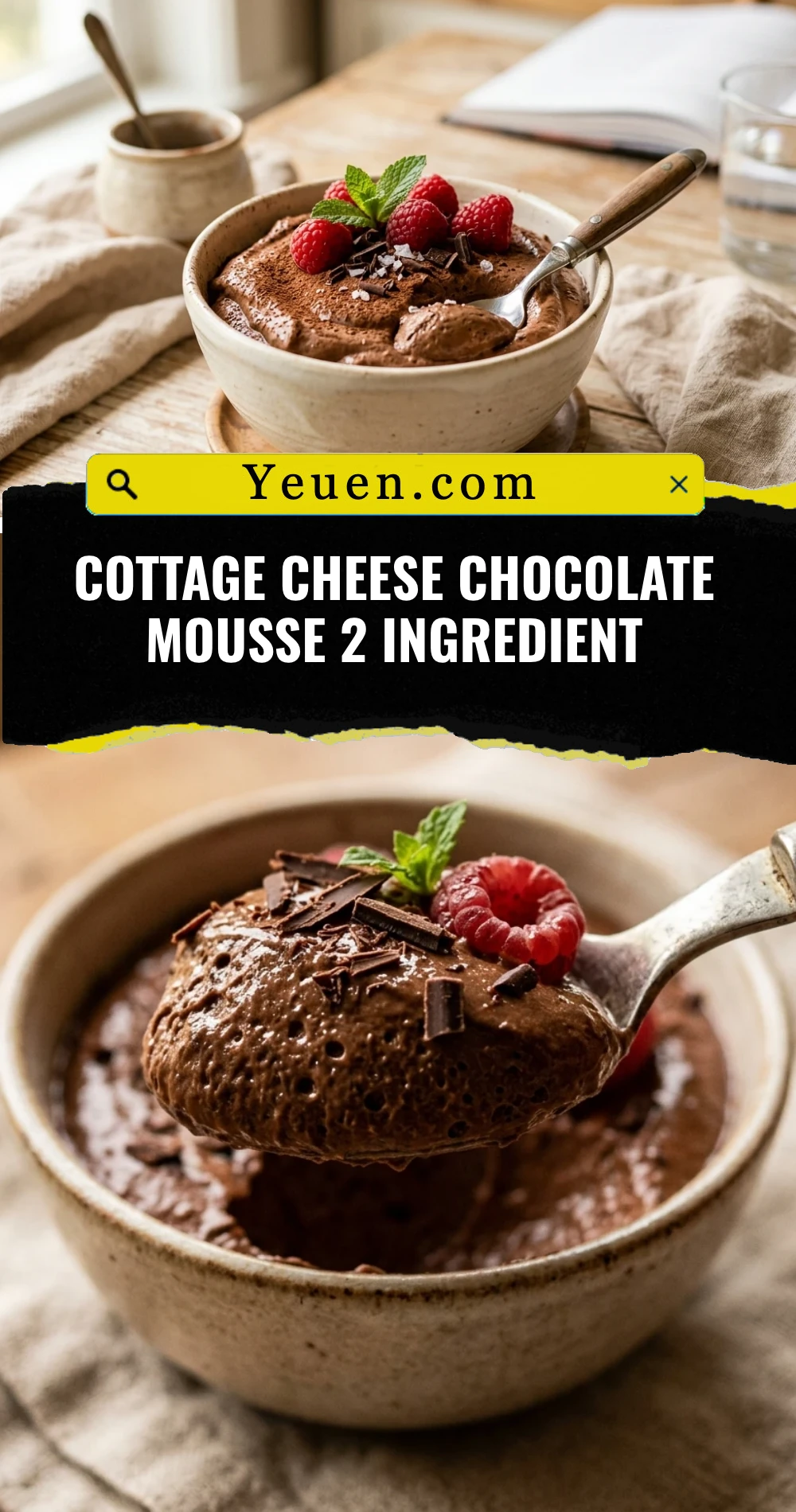 Cottage Cheese Chocolate Mousse 2 Ingredient