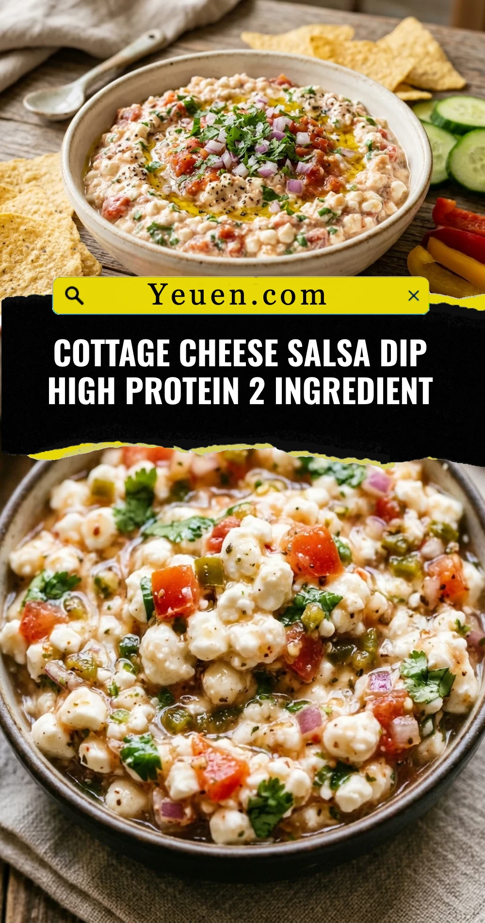 Cottage Cheese Salsa Dip High Protein 2 Ingredient