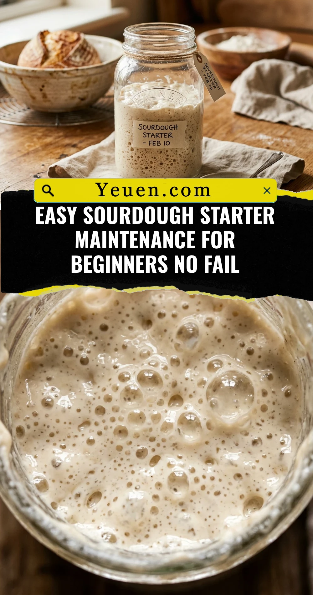 Easy Sourdough Starter Maintenance For Beginners No Fail