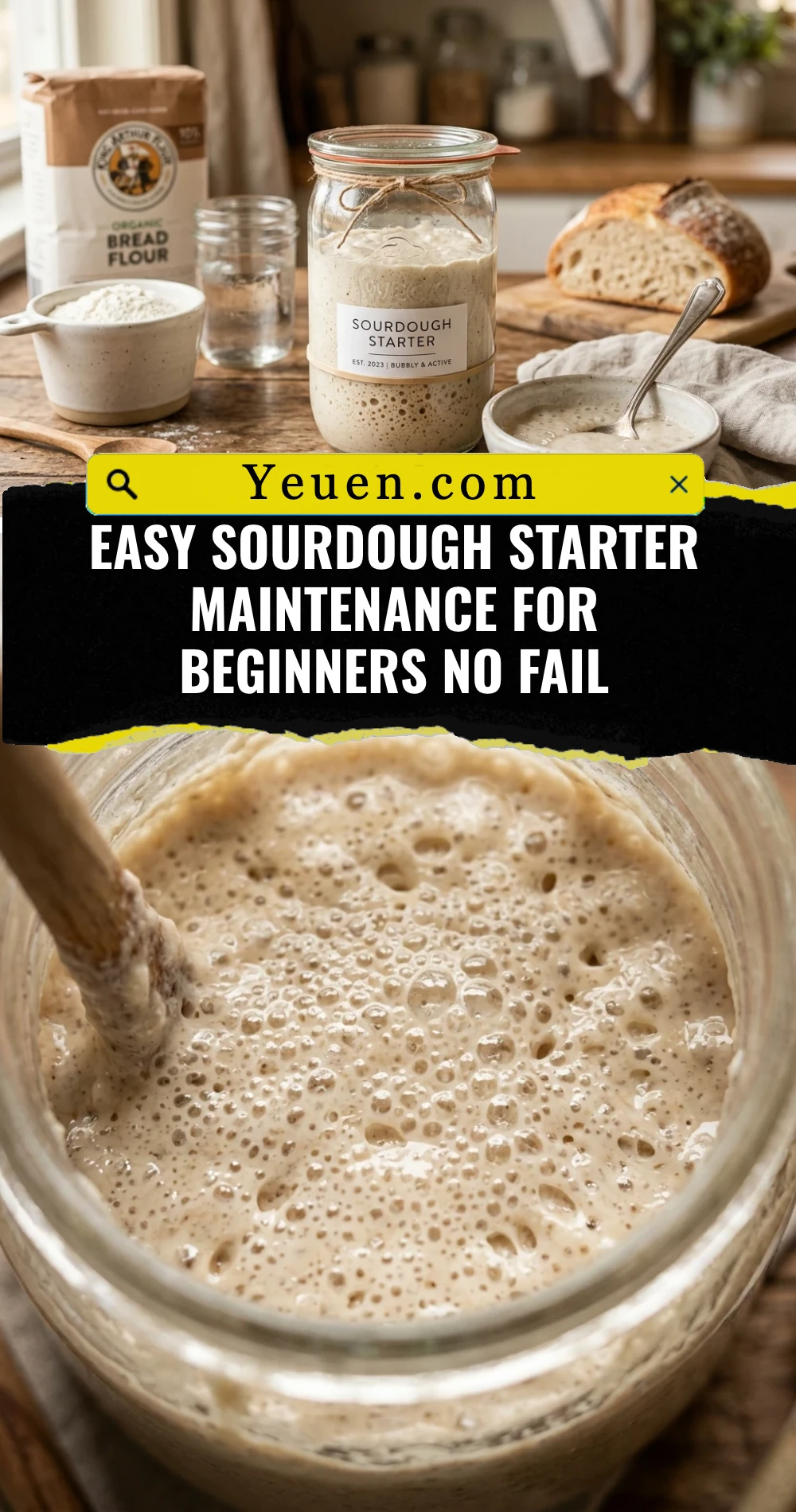 Easy Sourdough Starter Maintenance For Beginners No Fail