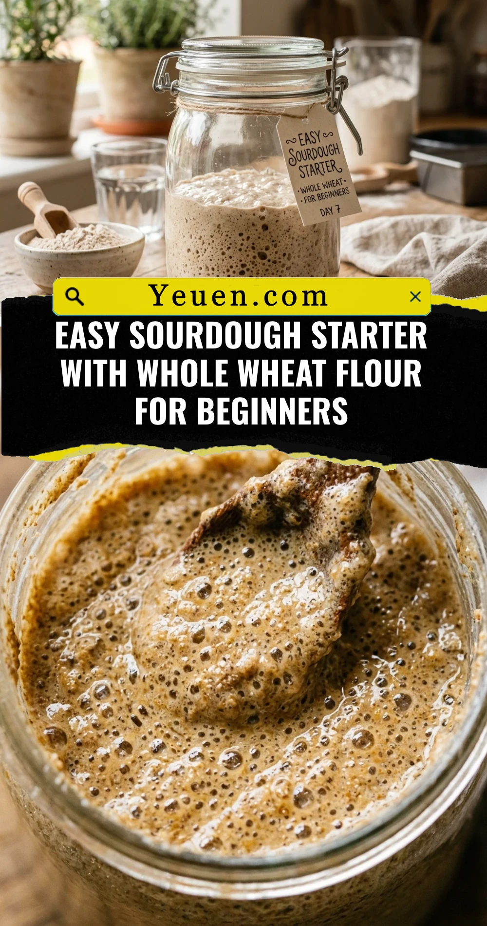 Easy Sourdough Starter With Whole Wheat Flour For Beginners