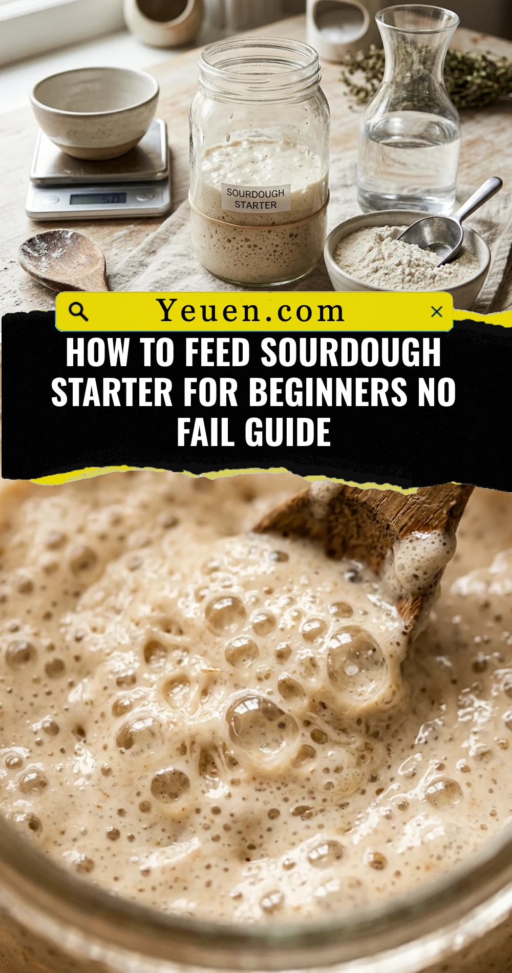 How To Feed Sourdough Starter For Beginners No Fail Guide