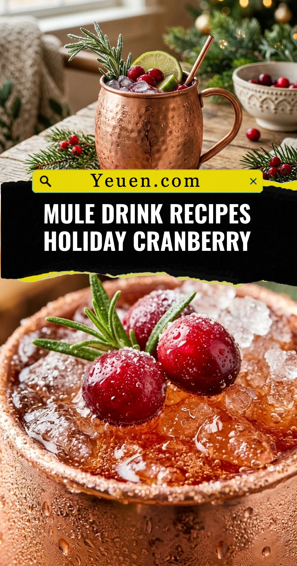 Mule Drink Recipes Holiday Cranberry