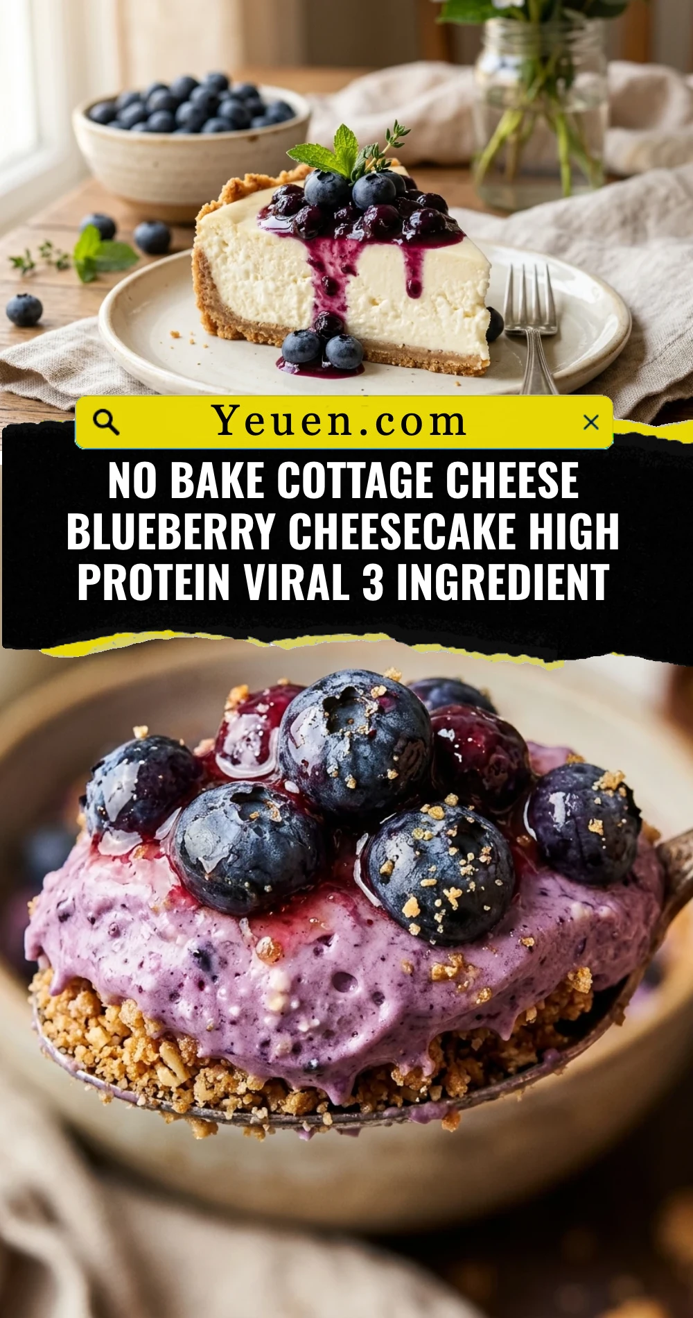 No Bake Cottage Cheese Blueberry Cheesecake High Protein Viral 3 Ingredient