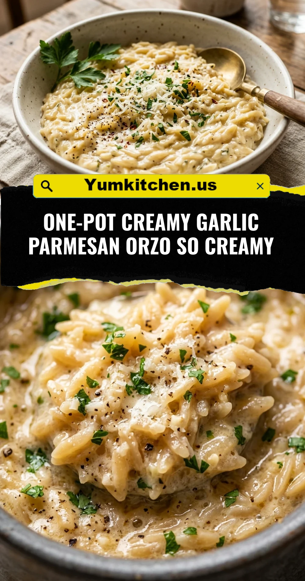 One-Pot Creamy Garlic Parmesan Orzo So Creamy