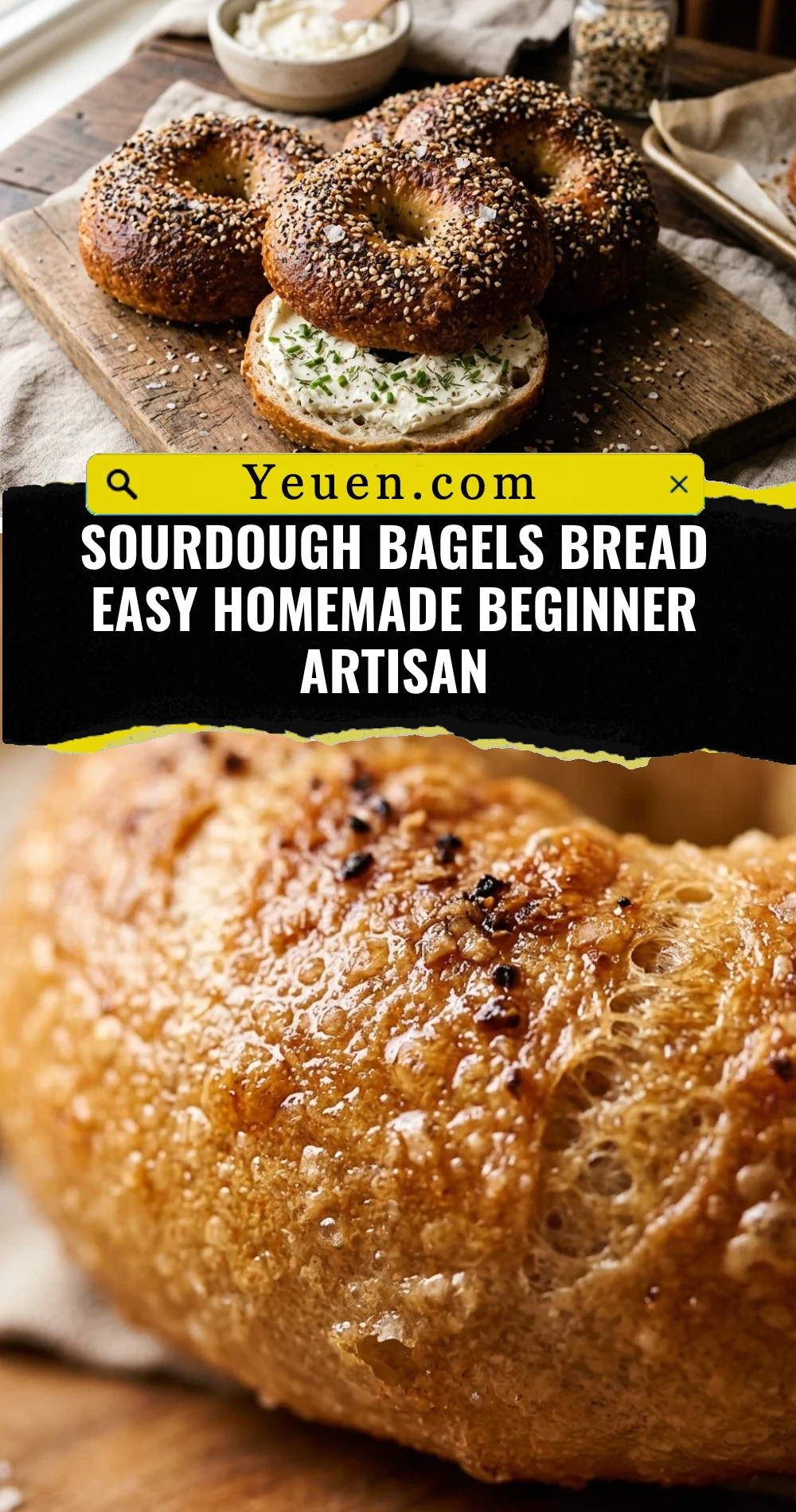 Sourdough Bagels Bread Easy Homemade Beginner Artisan