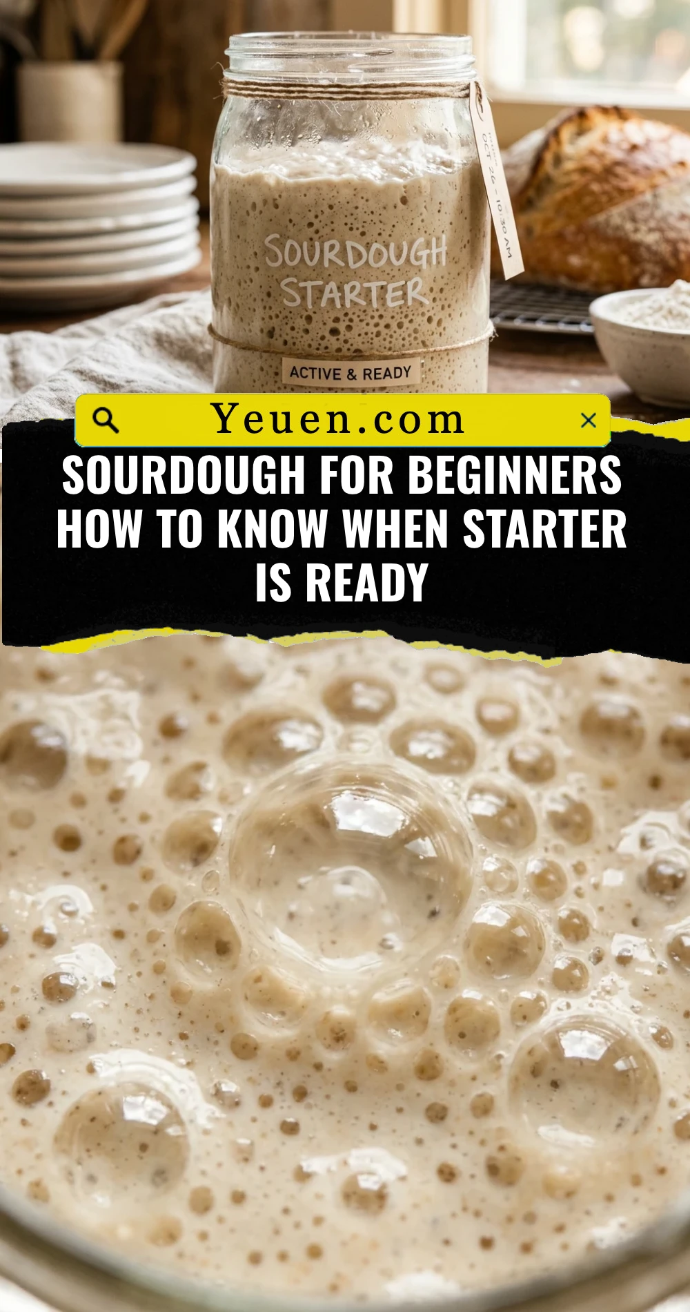 Sourdough For Beginners How To Know When Starter Is Ready