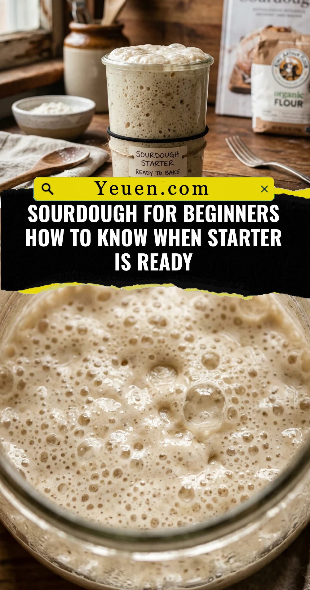Sourdough For Beginners How To Know When Starter Is Ready