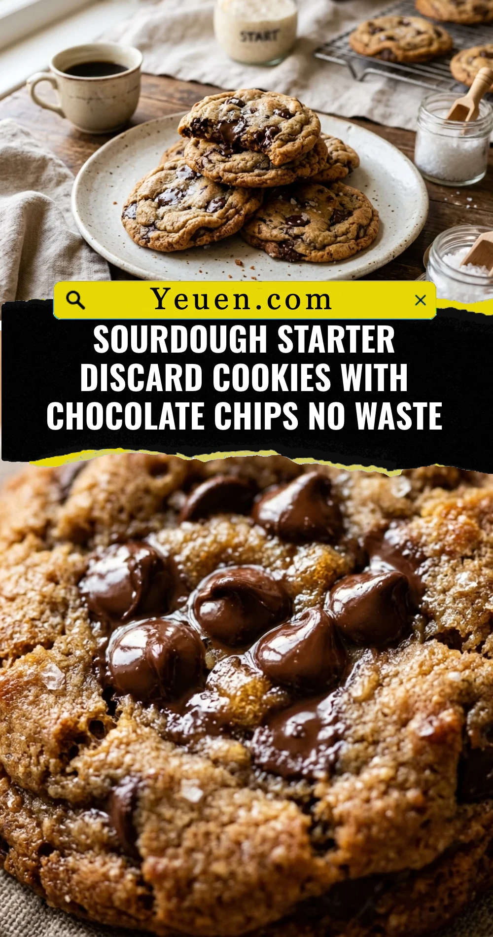 Sourdough Starter Discard Cookies With Chocolate Chips No Waste