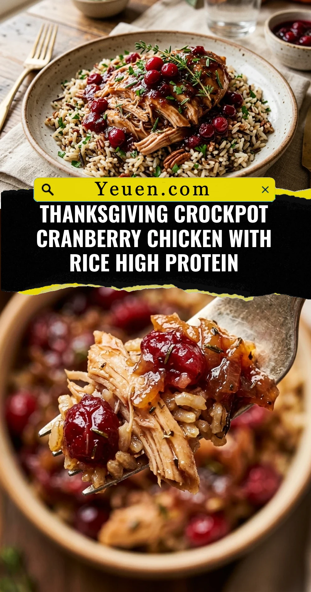 Thanksgiving Crockpot Cranberry Chicken With Rice High Protein