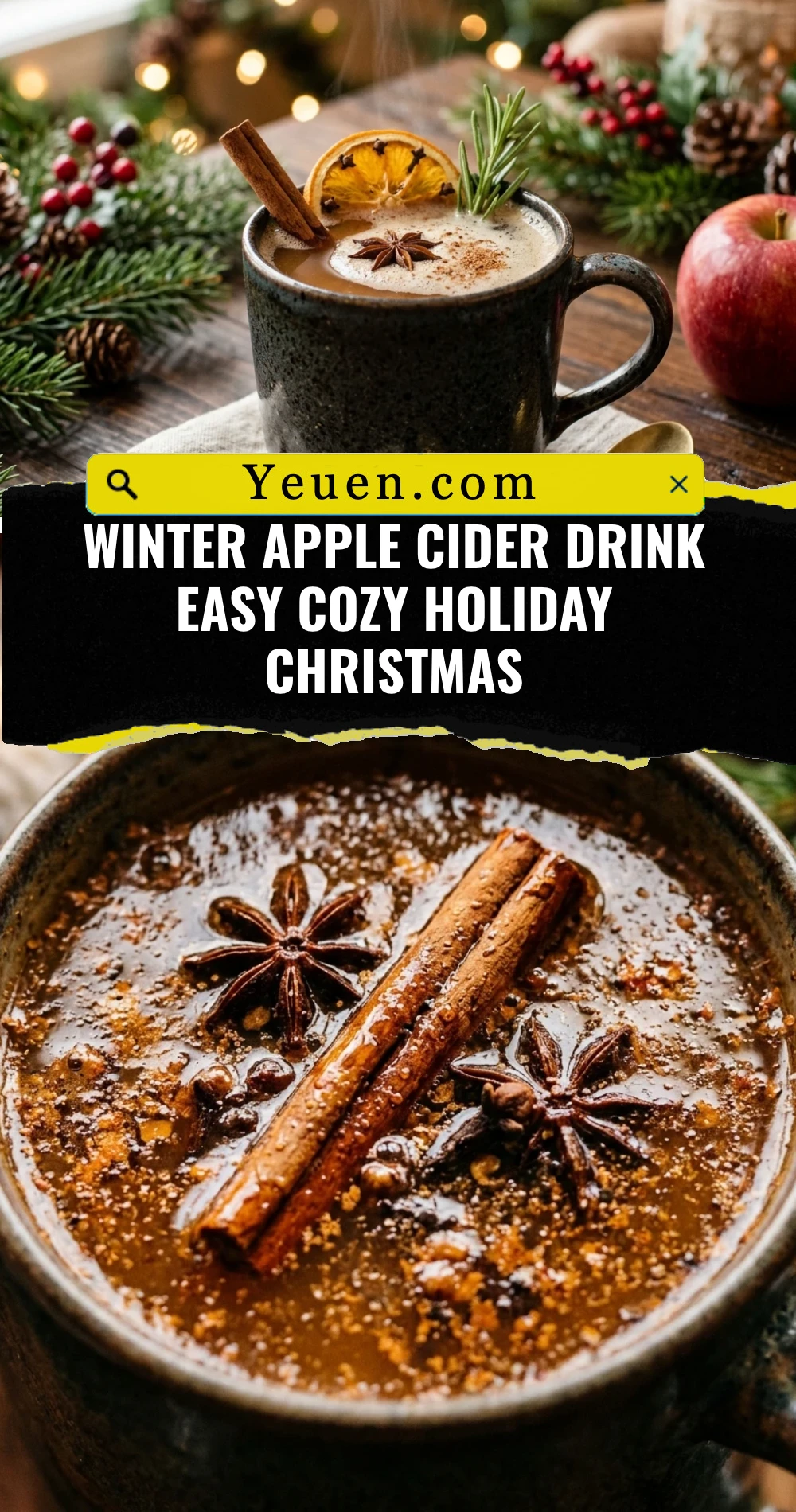 Winter Apple Cider Drink Easy Cozy Holiday Christmas